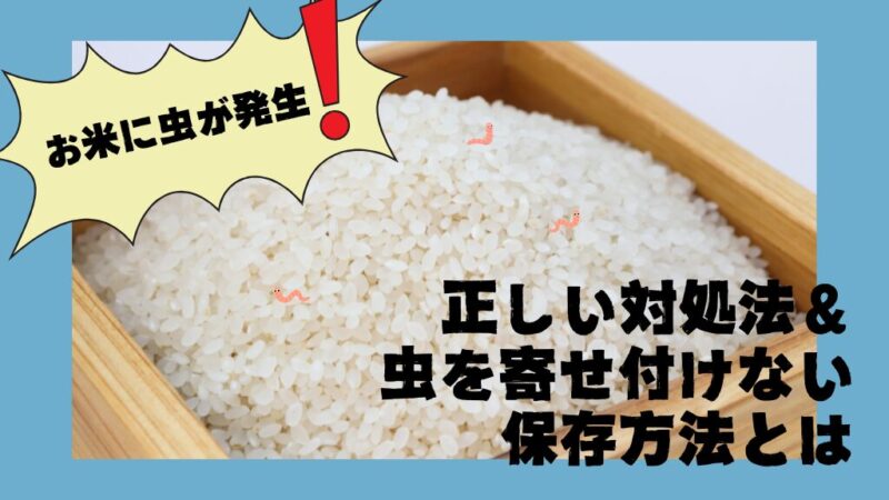 お米に虫が発生！正しい対処法＆虫を寄せ付けない保存方法とは